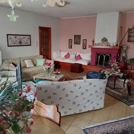 Διαμέρισμα Τριών Υπνοδωμάτιων. Ioánina Exterior foto