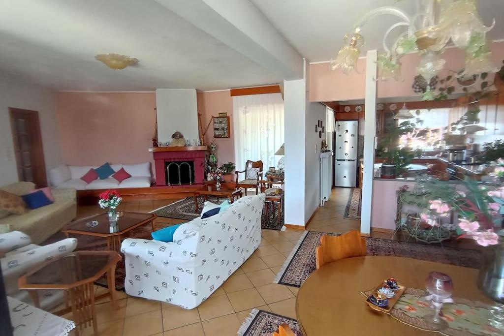 Διαμέρισμα Τριών Υπνοδωμάτιων. Ioánina Exterior foto